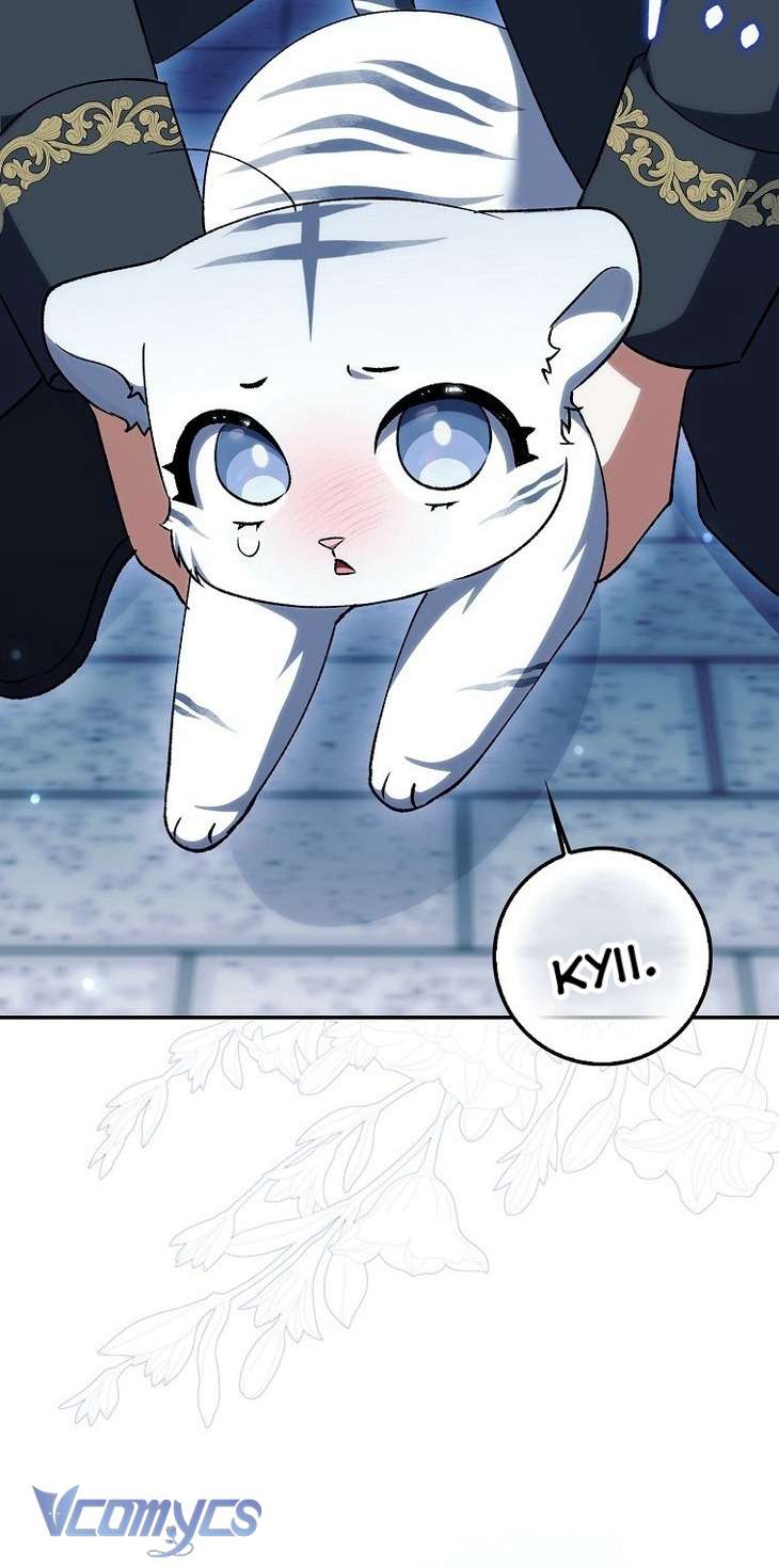 Công Chúa Bạch Hổ Không Có Nguy Hiểm Nha! Chap 14 - Trang 2