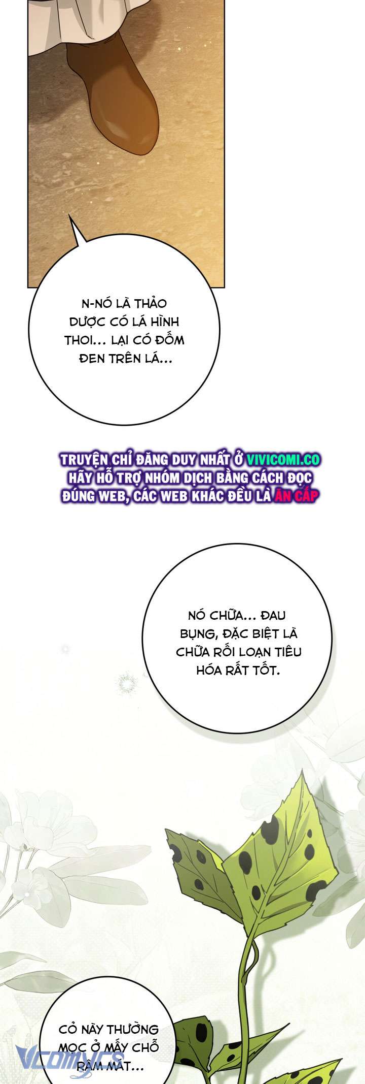 Dưới Bóng Cây Sồi Chap 117 - Next Chap 118