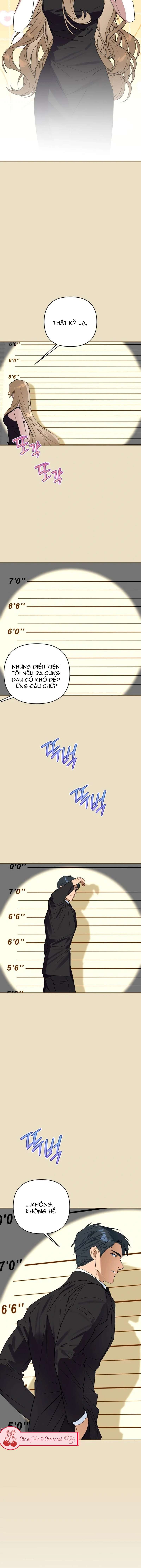 Chàng Ryan Của Em Chap 16 - Next Chap 17