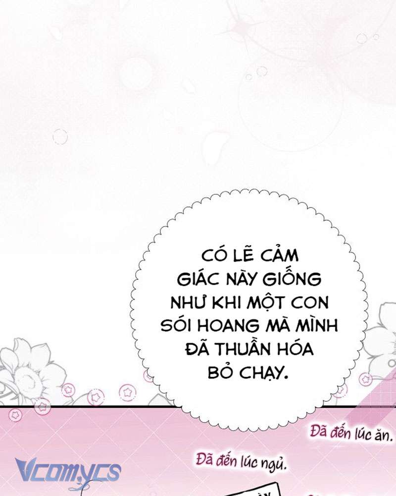 Các Nam Chính Đã Bị Nữ Phụ Cướp Mất Chap 45 - Trang 3