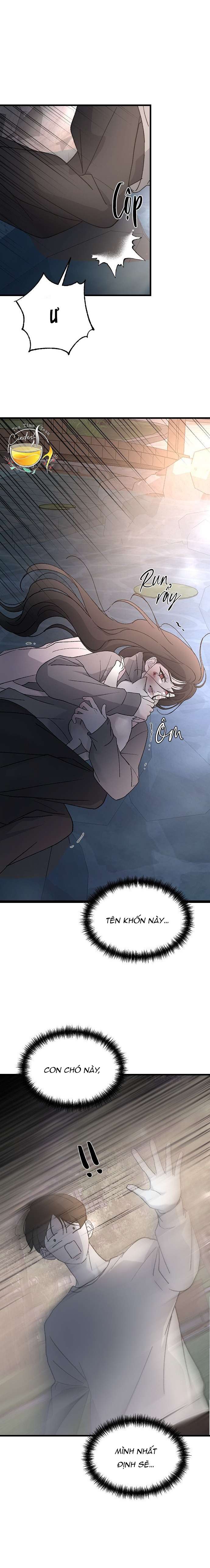 Ba Anh Trai Cực Phẩm Của Tôi Chap 99 - Next Chap 100