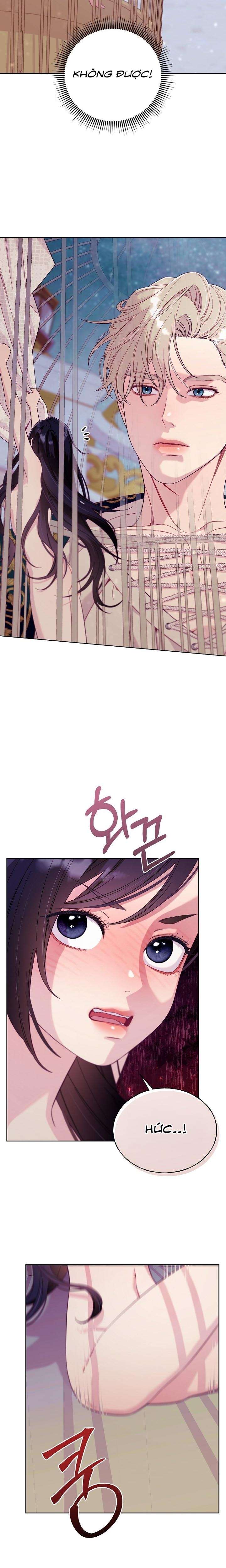 [18+] Lồng Chim Của Người Sưu Tầm Chap 2 - Trang 2