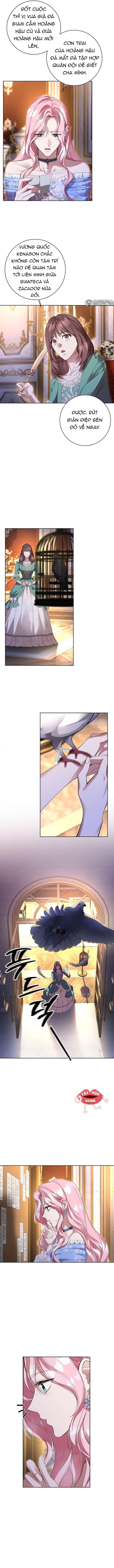 Cuộc Hôn Nhân Bị Bắt Cóc Xuyên Thời Gian Của Hoàng Hậu Chap 49 - Next 