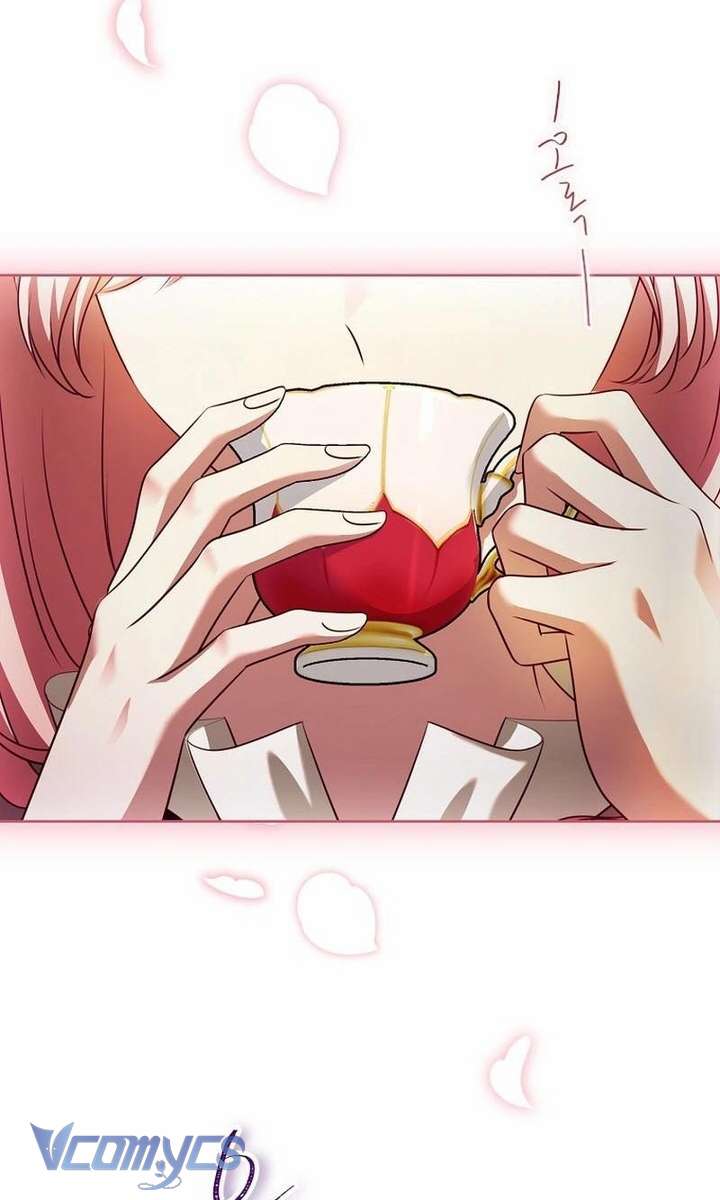 Hãy Để Luật Sư Chuyên Nghiệp Lo Chuyện Ly Hôn Chap 2 - Trang 2