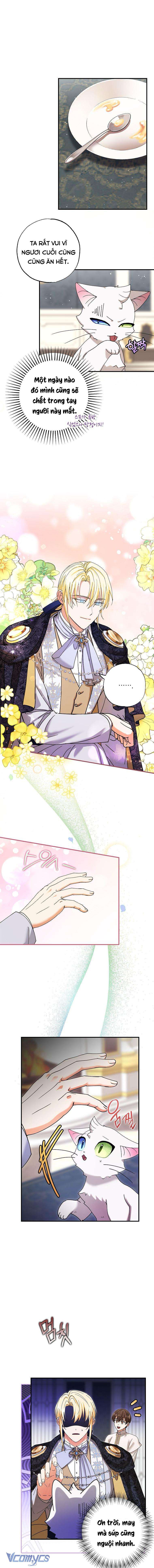 Trở Thành Miêu Nữ Của Hoàng Đế Chapter 5 - Trang 4