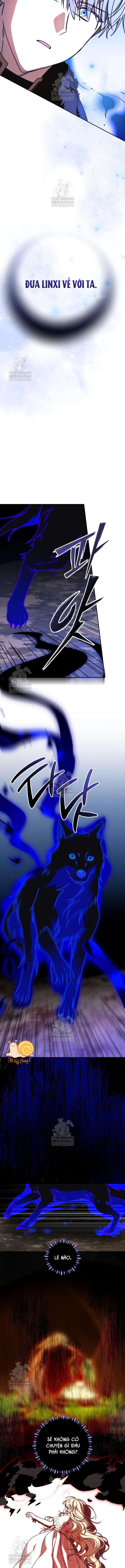 Nàng Chim Được Dinh Thự Sói Yêu Thương Chap 66 - Next 