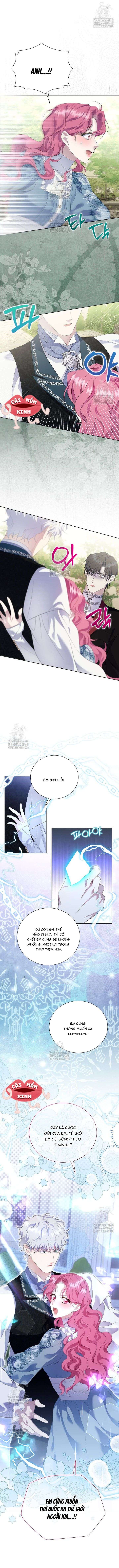 Khi Bị Nam Chính Dịu Dàng Nhưng Cố Chấp Ám Ảnh Chap 23 - Trang 2