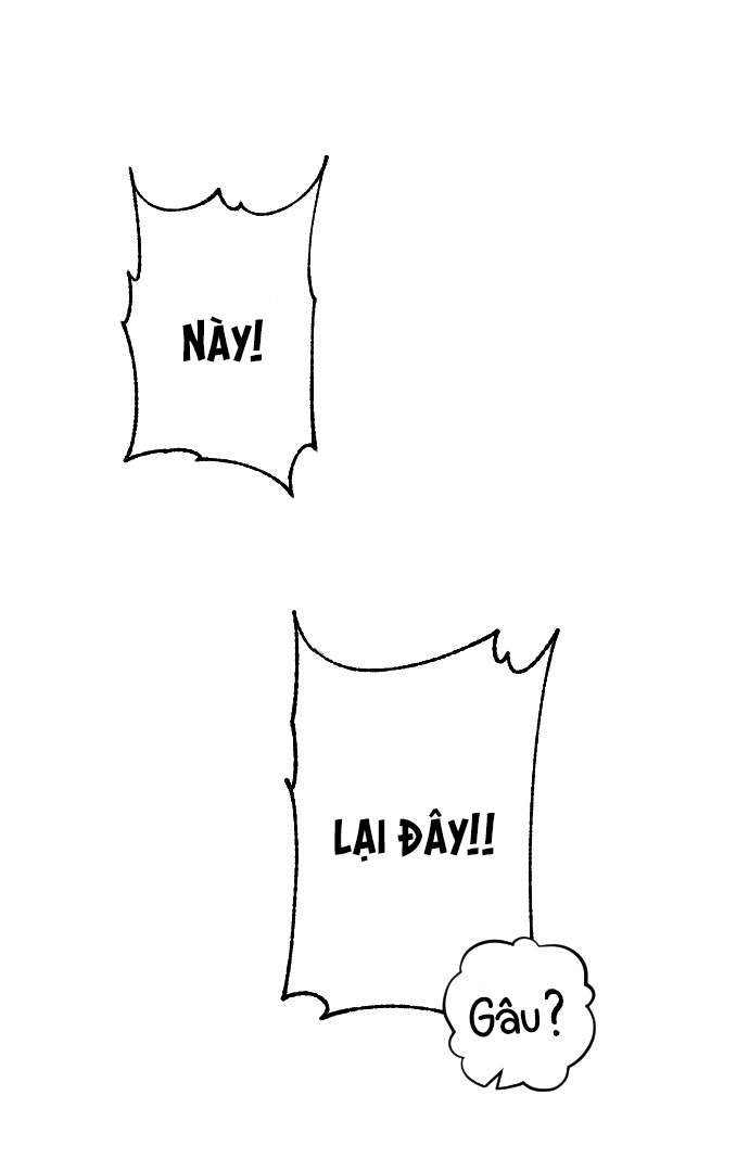 Ba Anh Trai Cực Phẩm Của Tôi Chap 98 - Next Chap 99