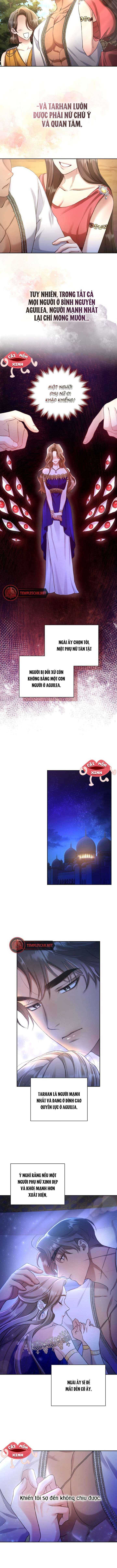 Khu Rừng Hoang Dã Khu Rừng Hoang Dã -Chap 1 - Next Chapter 1