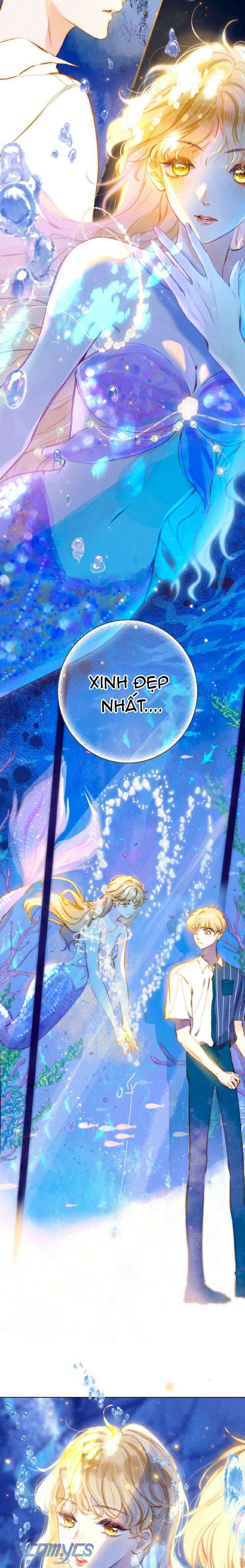 Chiếc Gai Ấm Ám Chap 15 - Next Chap 16