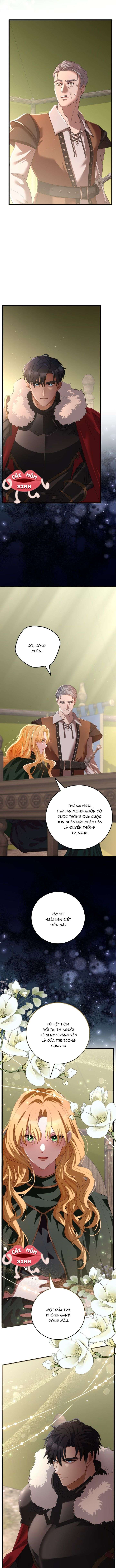 Lời Cầu Hôn Hoang Dã Chap 1 - Trang 3