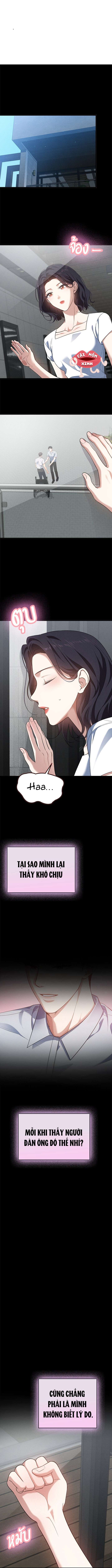 Vị Khách Trong Đêm Vị Khách Trong Đêm-Chap 8 - Next 