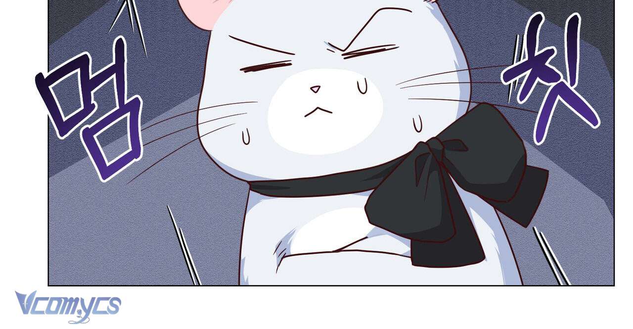 Kết Thúc Viên Mãn Không Cần Tình Yêu Chap 4 - Trang 3