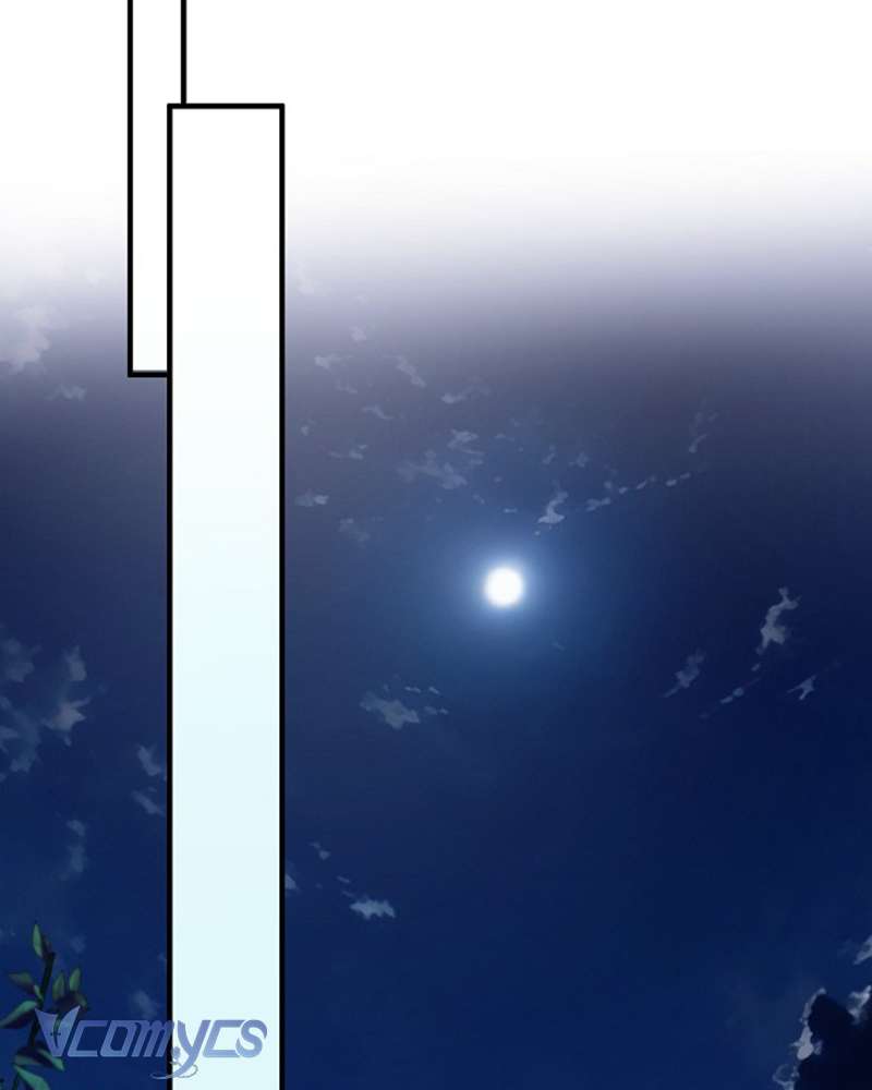 Các Nam Chính Đã Bị Nữ Phụ Cướp Mất Chap 41 - Trang 3