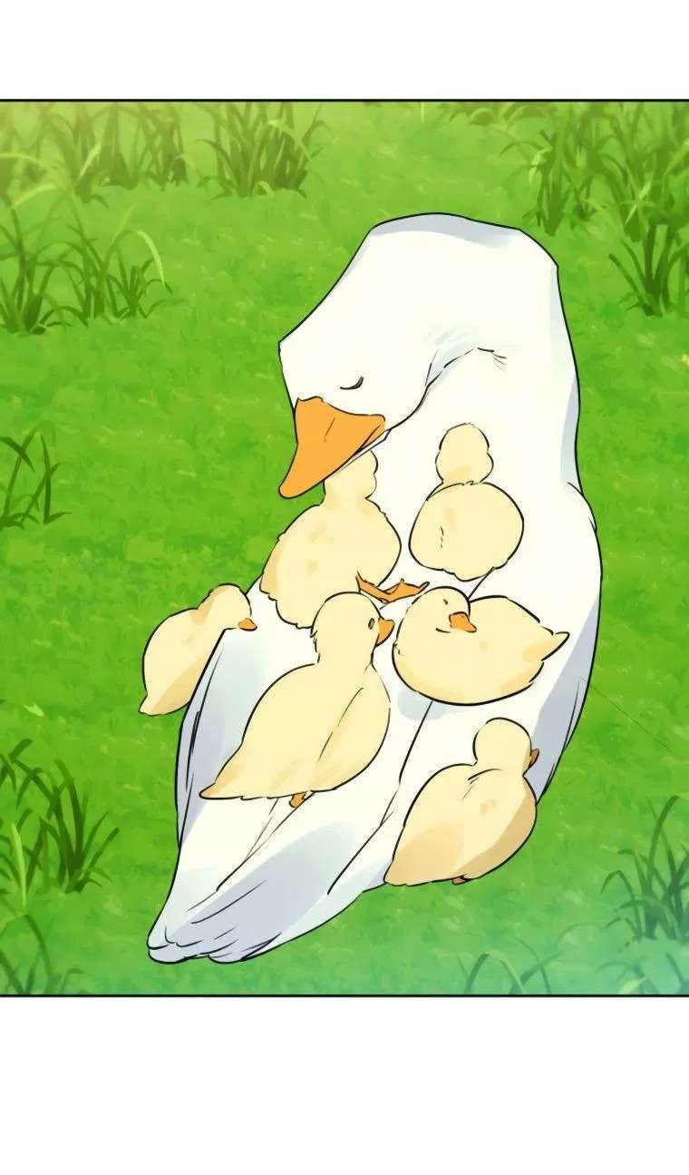 Chàng Ryan Của Em Chap 25 - Next Chap 26