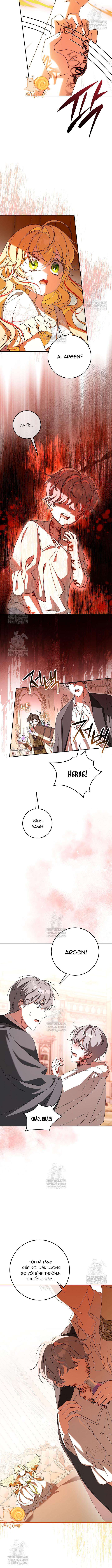 Nàng Chim Được Dinh Thự Sói Yêu Thương Chap 64 - Next Chap 65