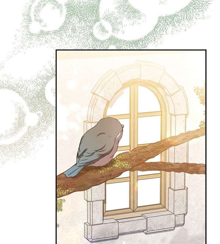 Có Hiểu Lầm Là Tôi Đang Hẹn Hò Với Kẻ Xấu Chap 8 - Trang 2