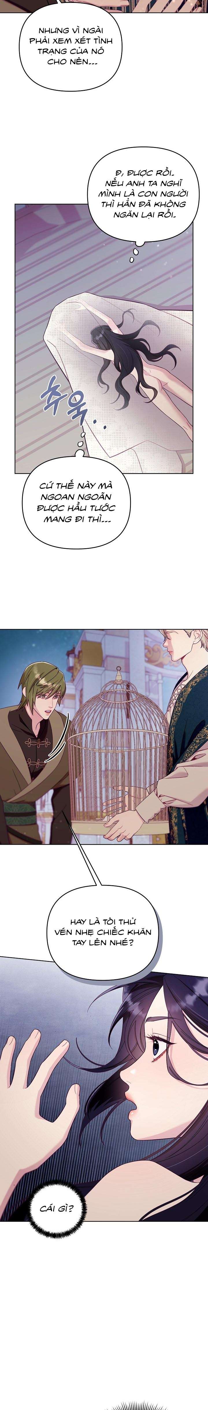 [18+] Lồng Chim Của Người Sưu Tầm Chap 2 - Trang 2