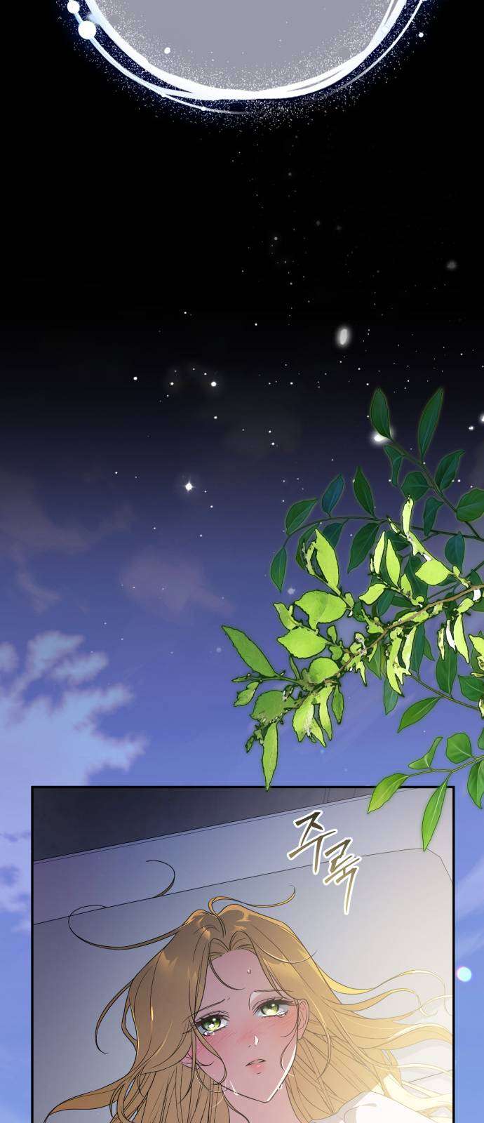 Nữ Công Tước Chiến Lợi Phẩm Chap 37 - Trang 2