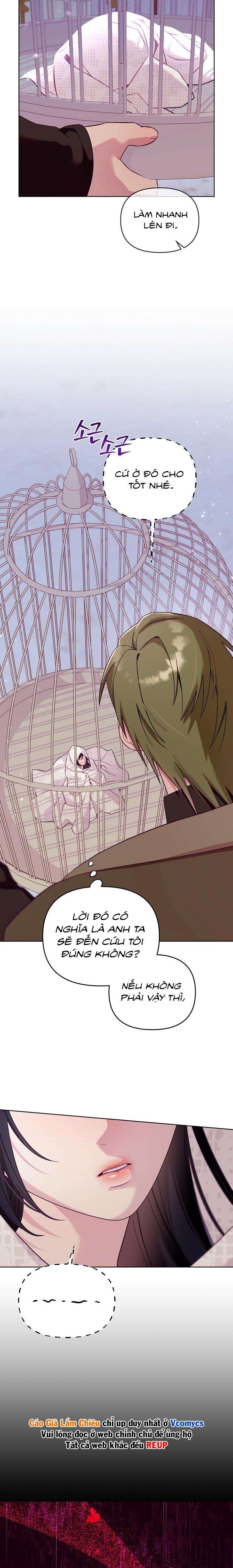 [18+] Lồng Chim Của Người Sưu Tầm Chap 2 - Trang 2