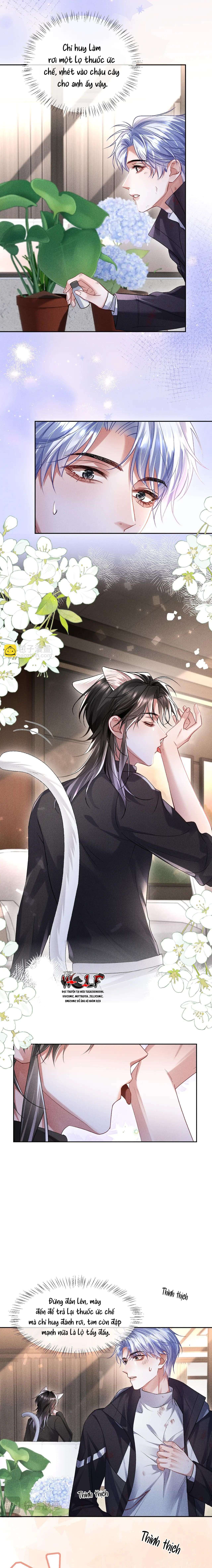 Chỉ Huy Lạnh Lùng Lại Mít Ướt Khi Yêu Chap 11 - Trang 3