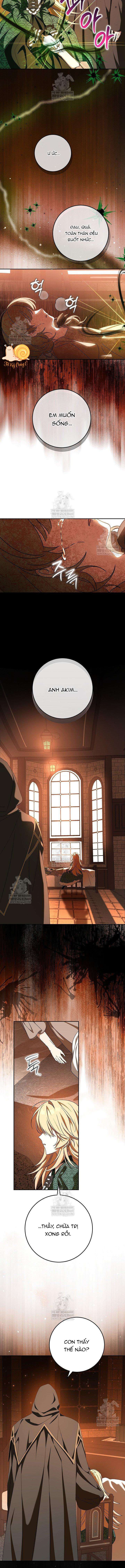 Nàng Chim Được Dinh Thự Sói Yêu Thương Chap 63 - Next Chap 64