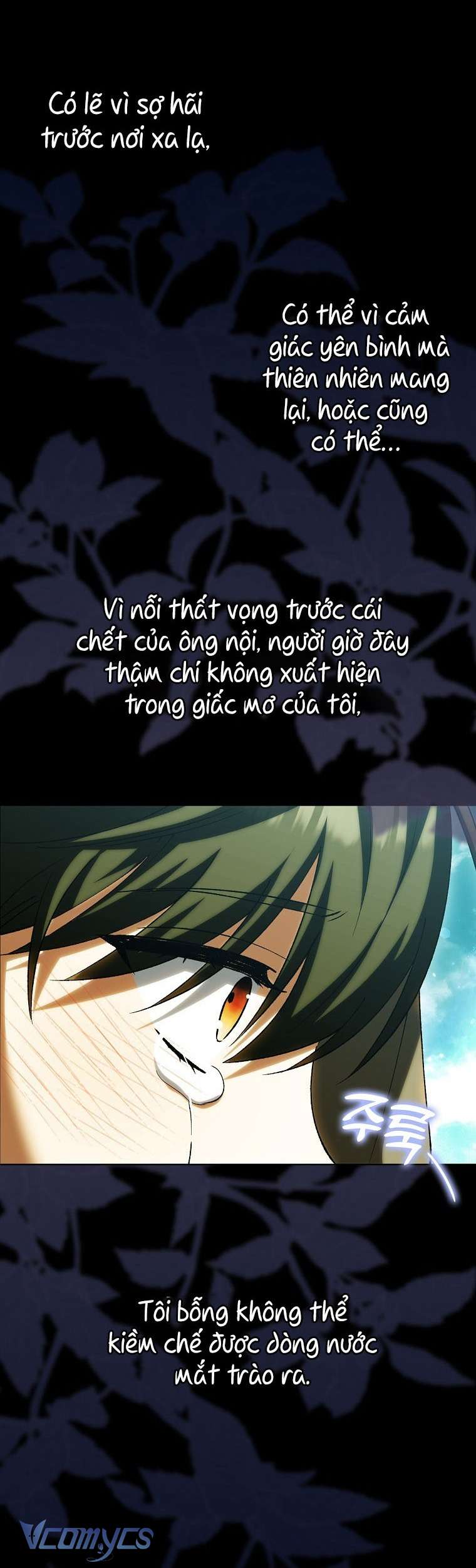 Công Chúa Bạch Hổ Không Có Nguy Hiểm Nha! Chap 13 - Trang 2