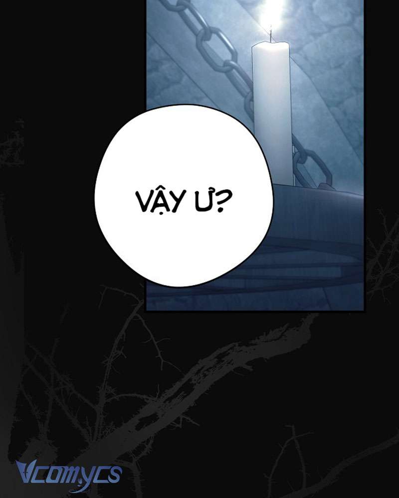 Các Nam Chính Đã Bị Nữ Phụ Cướp Mất Chap 45 - Trang 3