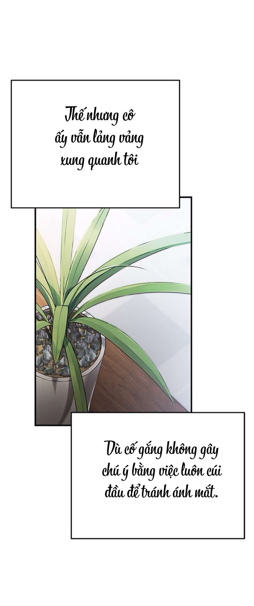 Cạm Bẫy Thanh Lịch Chap 7 - Next Chap 8