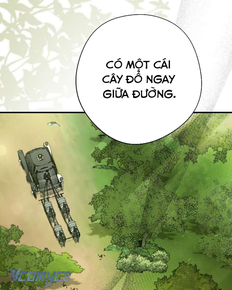 Các Nam Chính Đã Bị Nữ Phụ Cướp Mất Chap 41 - Trang 3