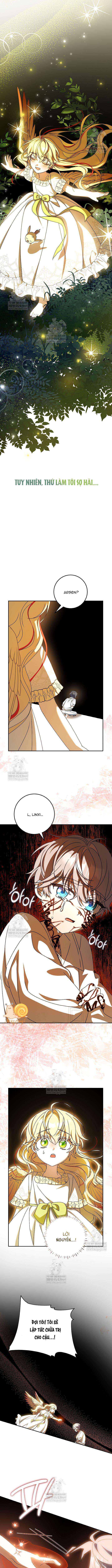 Nàng Chim Được Dinh Thự Sói Yêu Thương Chap 65 - Next Chap 66