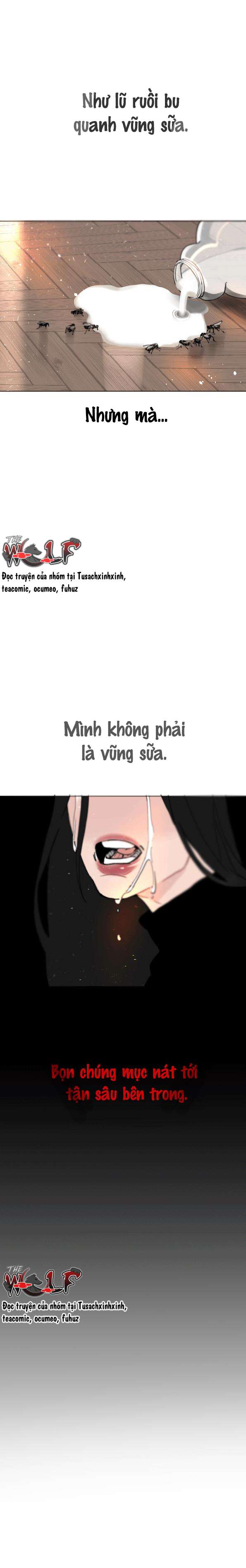 Tình Cờ Thật Đấy Chap 13.2 - Trang 3