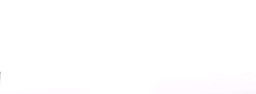 Sở Thích Bị Cai Trị Chap 20 - Next Chap 21