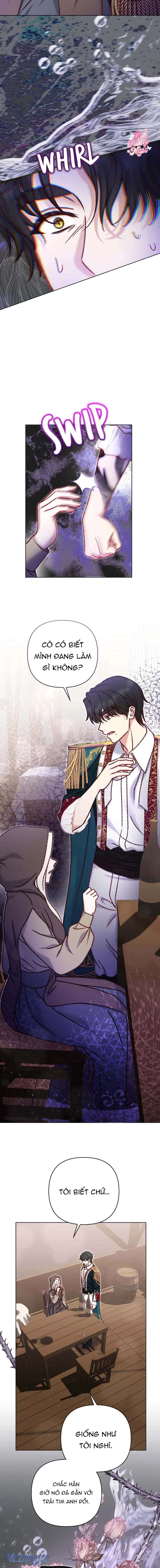 Nàng Vịt Chờ Ngày Hủy Hôn Chap 39 - Next 