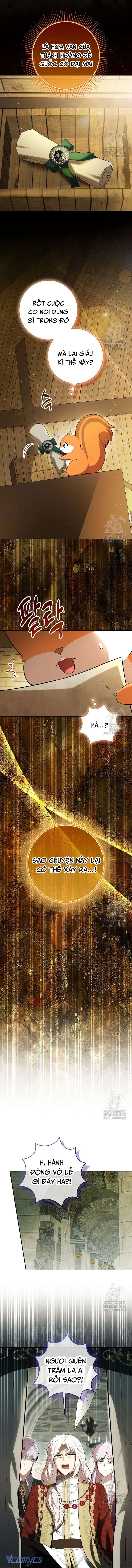 Sóc Con Tài Năng Chap 104 - Next Chap 105