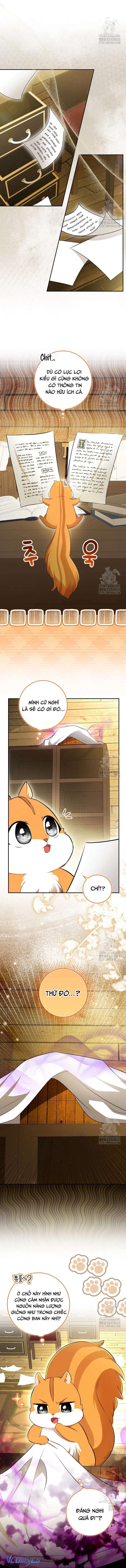 Sóc Con Tài Năng Chap 104 - Next Chap 105