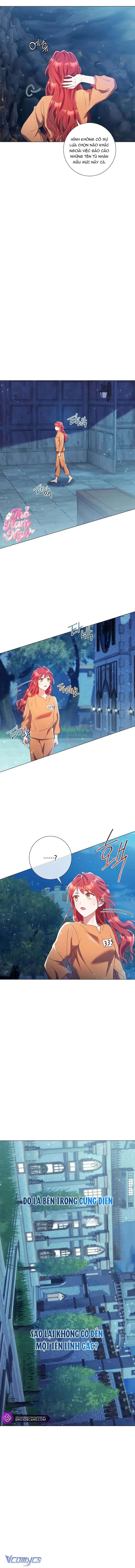 Sao Tôi Có Thể Li Hôn Khi Còn Chưa Kết Hôn Đây, Thưa Bệ Hạ Chap 13 - Next Chap 14