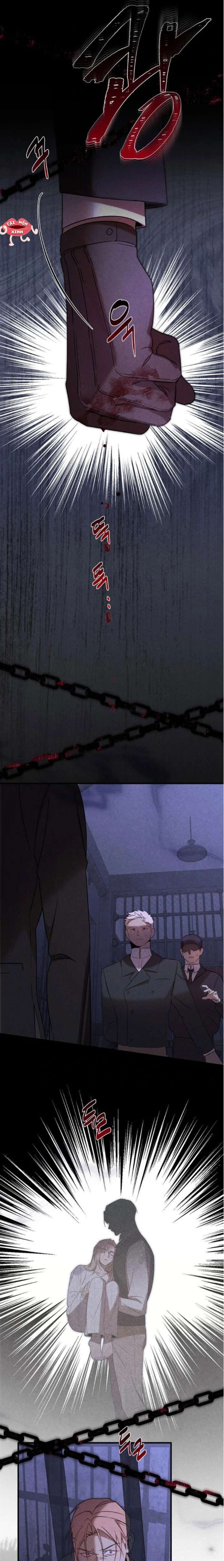 Nơi Đóa Hồng Vàng Úa Tàn Chap 23 - Next Chap 24