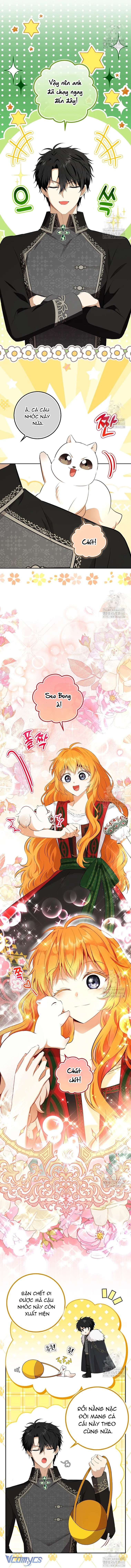 Sóc Con Tài Năng Chap 106 - Next Chap 107