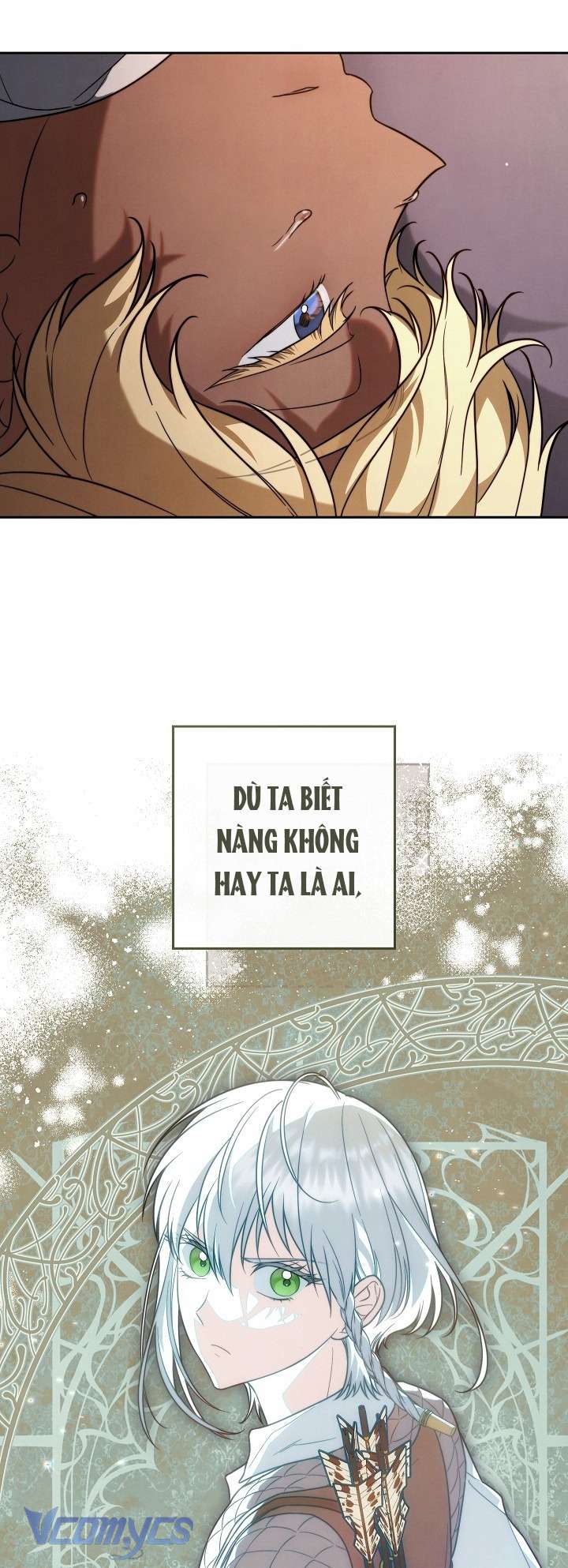 Hôn Nhân Vụ Lợi 2: Bản Tình Ca Không Thể Quên Chap 3 - Trang 3