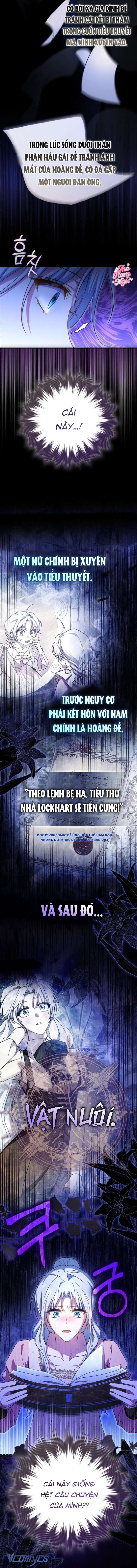 Chồng Của Tôi Giống Nam Chính Quá Đi Chap 27 - Next Chap 28