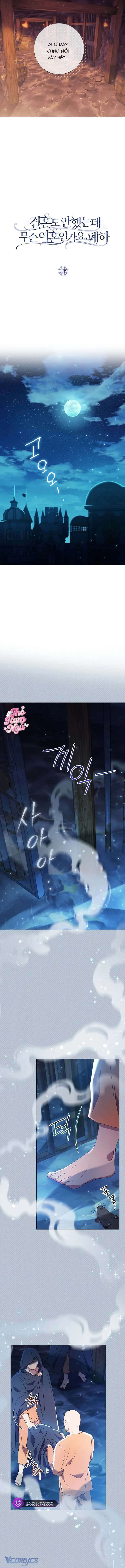 Sao Tôi Có Thể Li Hôn Khi Còn Chưa Kết Hôn Đây, Thưa Bệ Hạ Chap 13 - Next Chap 14