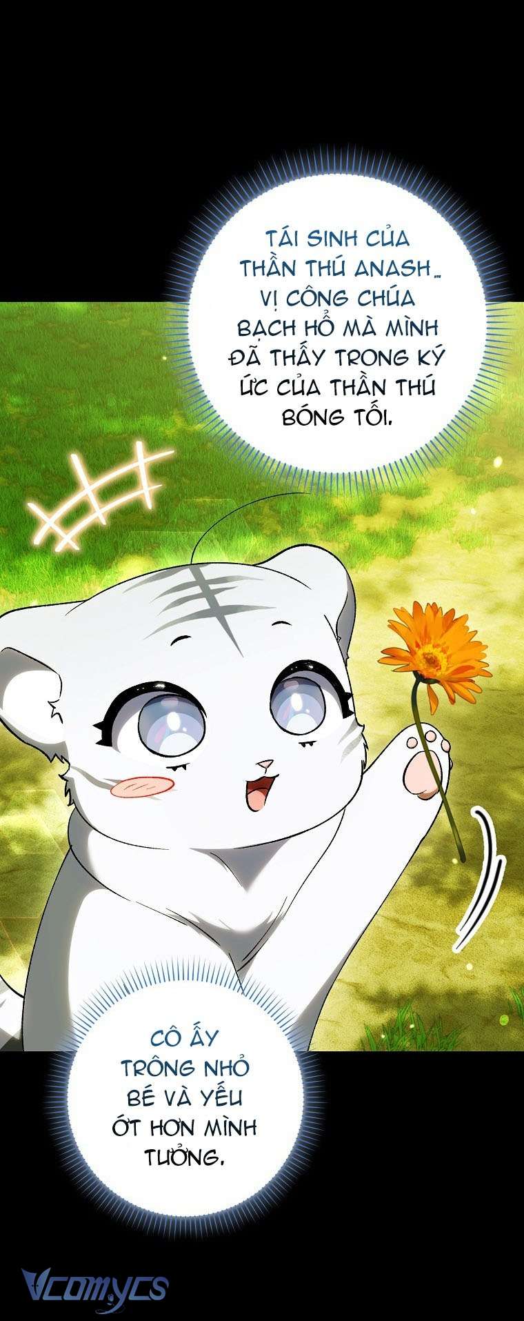 Công Chúa Bạch Hổ Không Có Nguy Hiểm Nha! Chap 13 - Next Chap 14