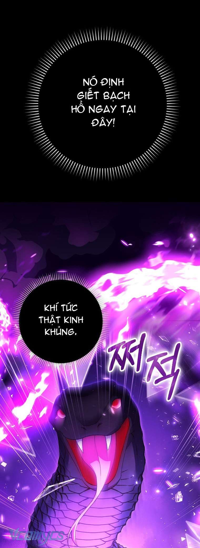 Công Chúa Bạch Hổ Không Có Nguy Hiểm Nha! Chap 13 - Next Chap 14