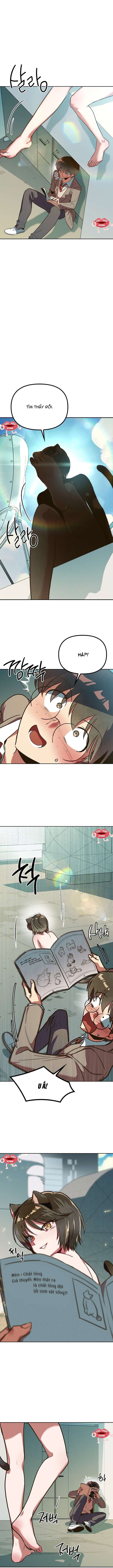 Thiếu Nữ 12 Con Giáp Chap 1 - Next Chap 2