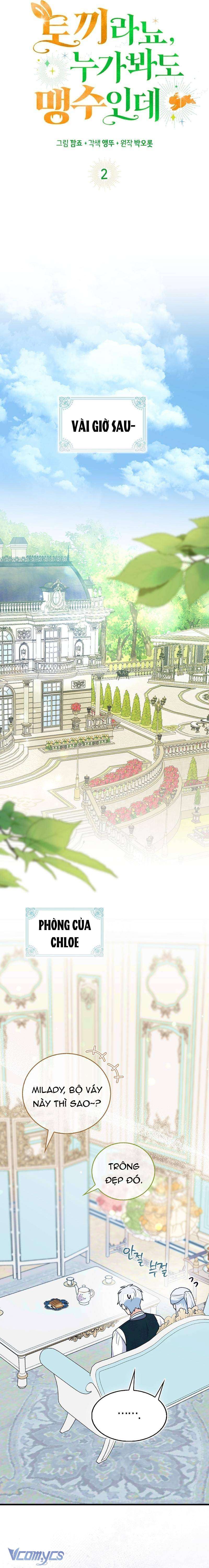 Thỏ Á? Rõ Ràng Là Mãnh Thú Cơ Mà! Chap 2 - Next Chap 3