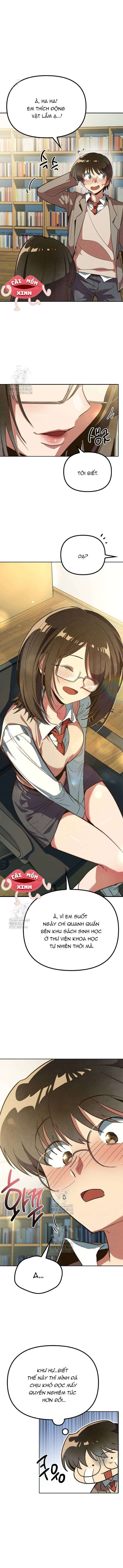 Thiếu Nữ 12 Con Giáp Chap 5 - Next Chap 6