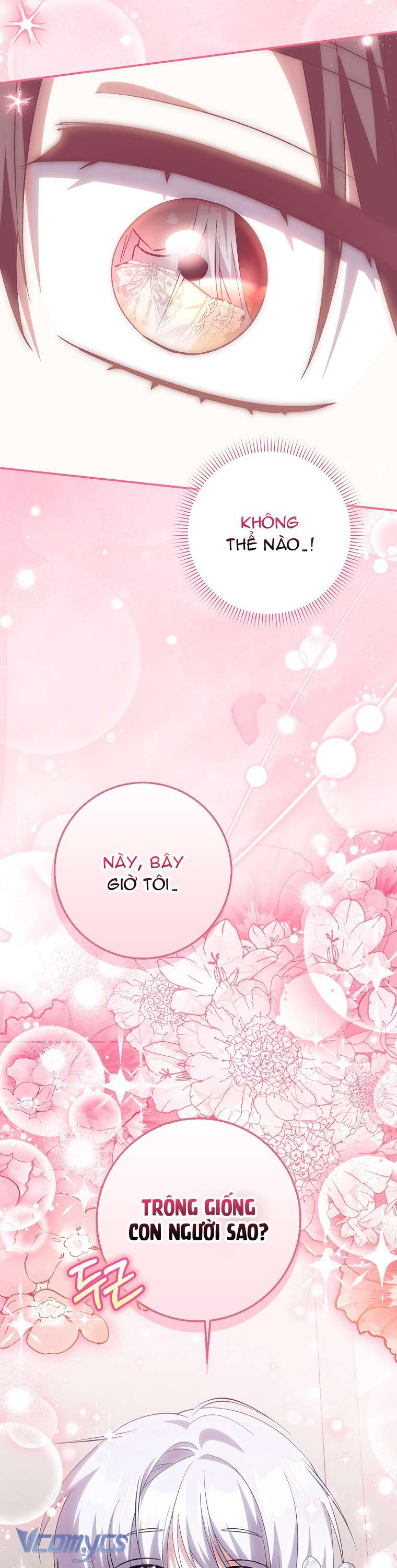 Công Chúa Bạch Hổ Không Có Nguy Hiểm Nha! Chap 16 - Next Chap 17