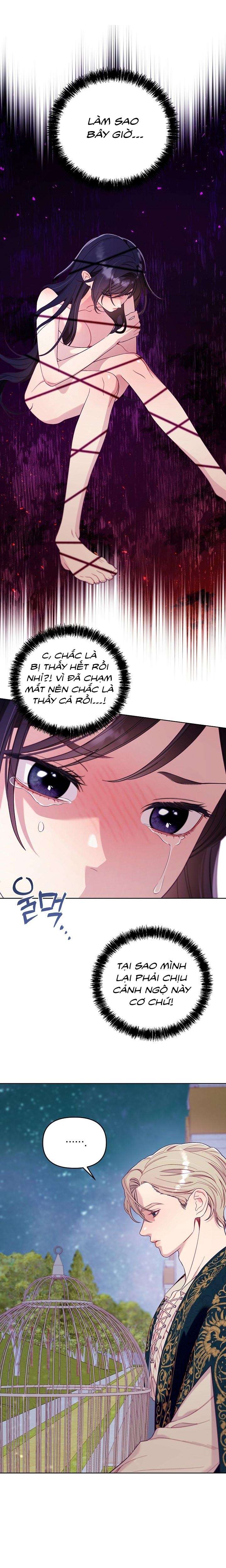 [18+] Lồng Chim Của Người Sưu Tầm Chap 2 - Next Chap 3