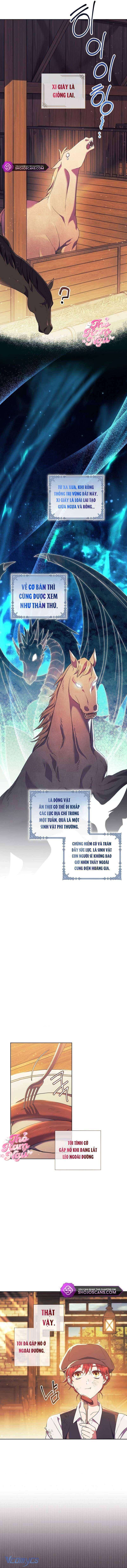 Sao Tôi Có Thể Li Hôn Khi Còn Chưa Kết Hôn Đây, Thưa Bệ Hạ Chap 2 - Next Chap 3